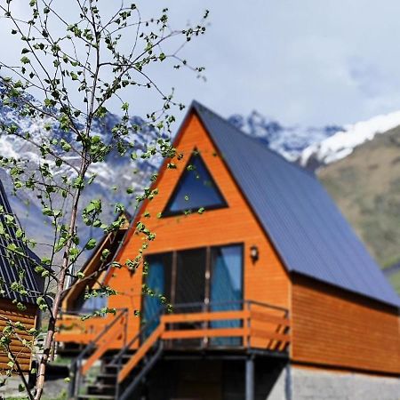 Kazbegi Compass Apartment Bilik gambar